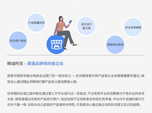 六种跨境电商企业核心能力对比分析 产品、用户、品牌能力与品牌管理